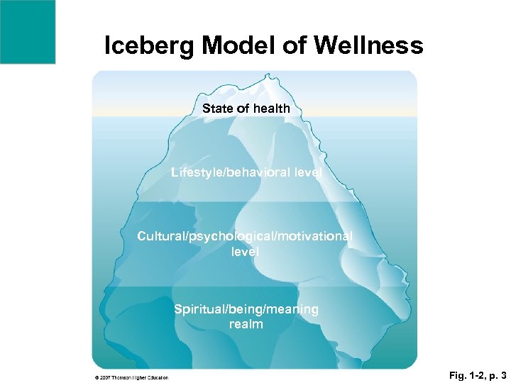 Iceberg Model of Wellness State of health Lifestyle/behavioral level Cultural/psychological/motivational level Spiritual/being/meaning realm Fig.