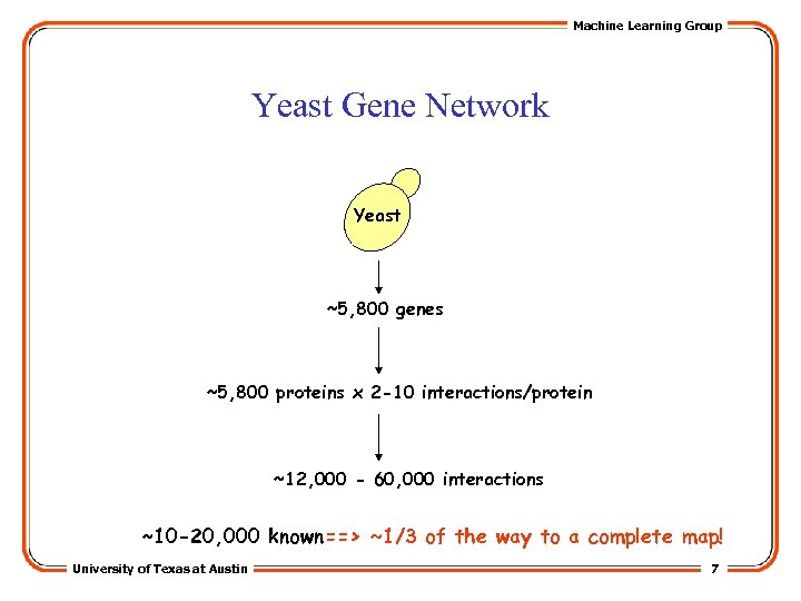 Machine Learning Group Yeast Gene Network Yeast ~5, 800 genes ~5, 800 proteins x