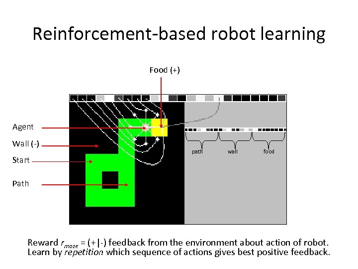 Reinforcement-based robot learning Food (+) Agent Wall (-) Start path wall food Path Reward