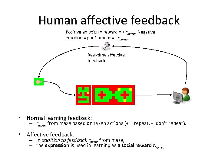 Human affective feedback Positive emotion = reward = + rhuman Negative emotion = punishment