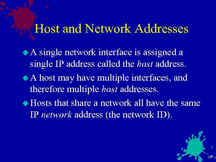 Host and Network Addresses u. A single network interface is assigned a single IP