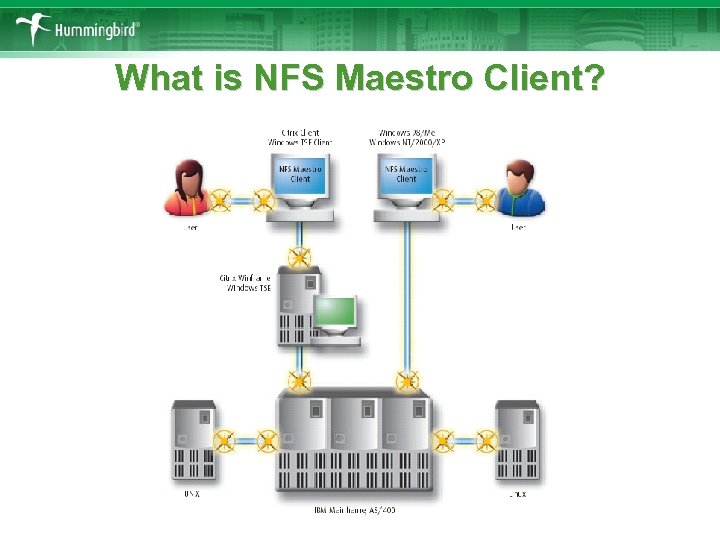 What is NFS Maestro Client? 