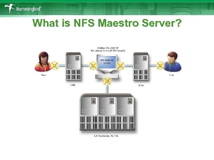 What is NFS Maestro Server? 