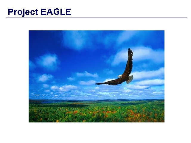 Project EAGLE 