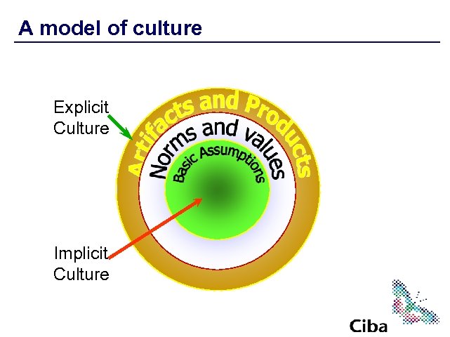 A model of culture Explicit Culture Implicit Culture 