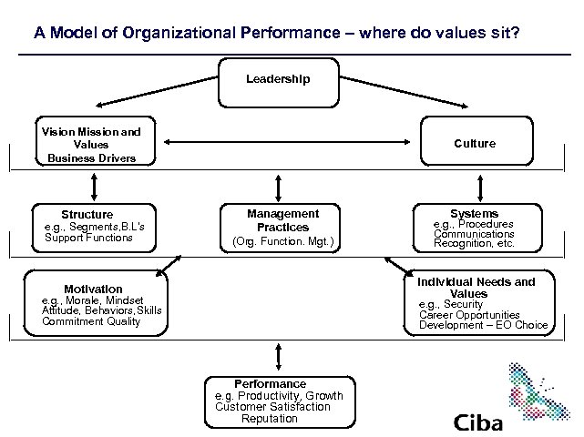 A Model of Organizational Performance – where do values sit? Leadership Vision Mission and