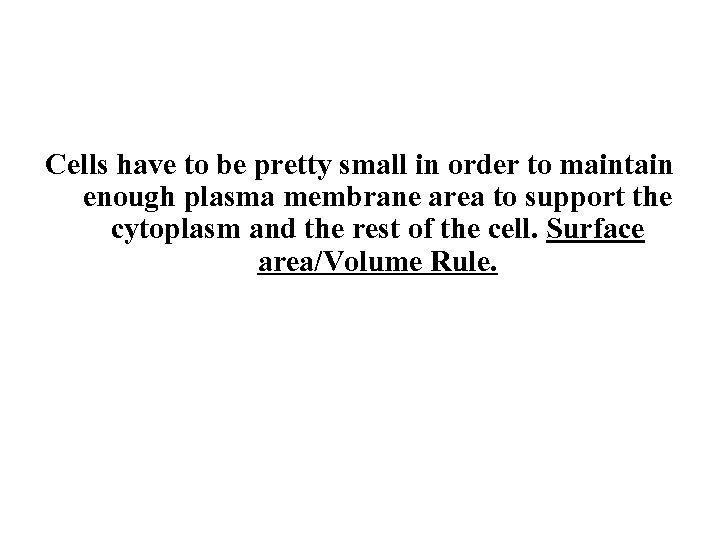 Cells have to be pretty small in order to maintain enough plasma membrane area