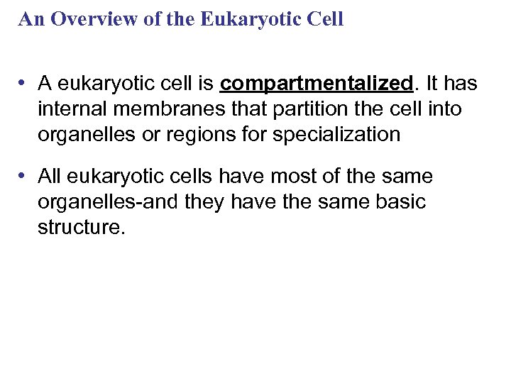 An Overview of the Eukaryotic Cell • A eukaryotic cell is compartmentalized. It has