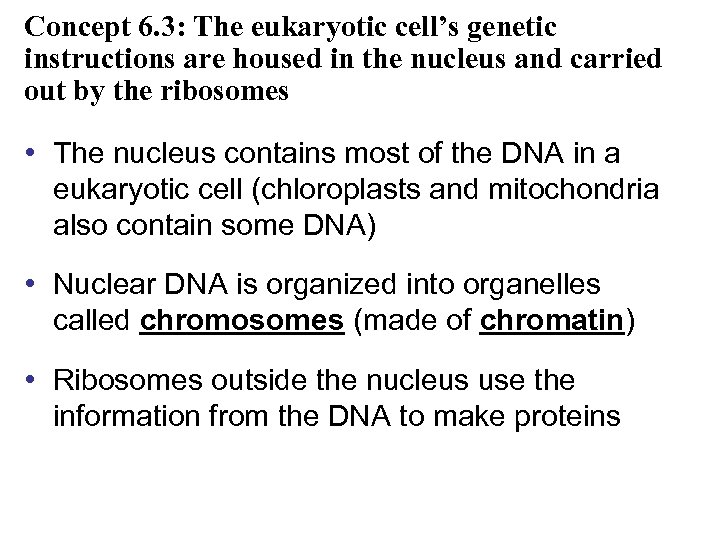 Concept 6. 3: The eukaryotic cell’s genetic instructions are housed in the nucleus and