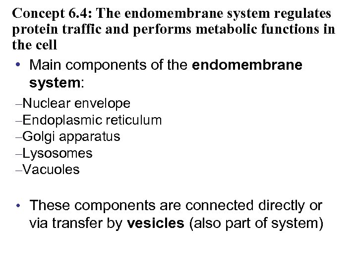 Concept 6. 4: The endomembrane system regulates protein traffic and performs metabolic functions in
