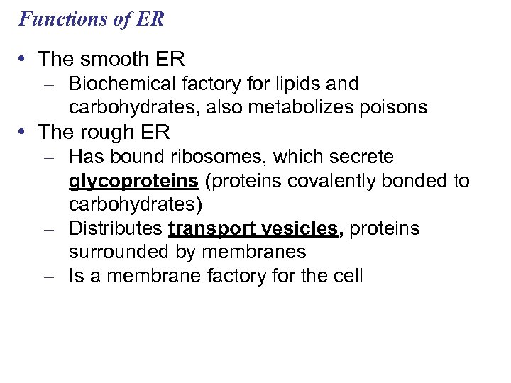 Functions of ER • The smooth ER – Biochemical factory for lipids and carbohydrates,
