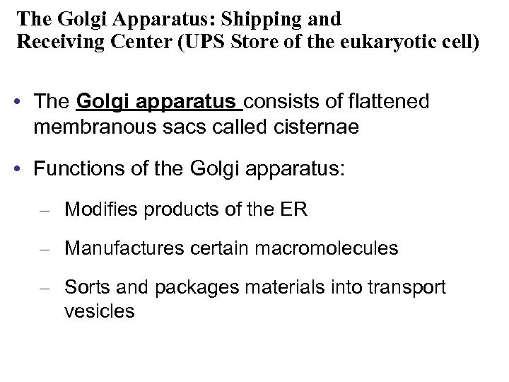 The Golgi Apparatus: Shipping and Receiving Center (UPS Store of the eukaryotic cell) •