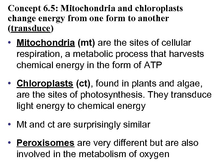 Concept 6. 5: Mitochondria and chloroplasts change energy from one form to another (transduce)