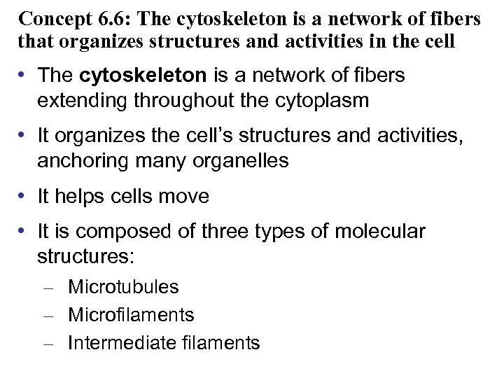 Concept 6. 6: The cytoskeleton is a network of fibers that organizes structures and
