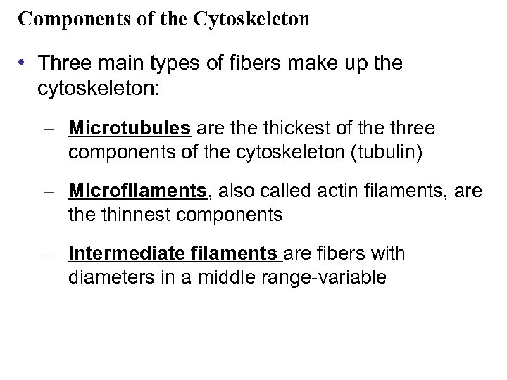 Components of the Cytoskeleton • Three main types of fibers make up the cytoskeleton: