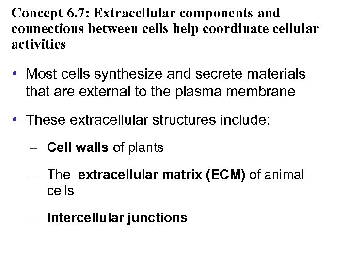 Concept 6. 7: Extracellular components and connections between cells help coordinate cellular activities •