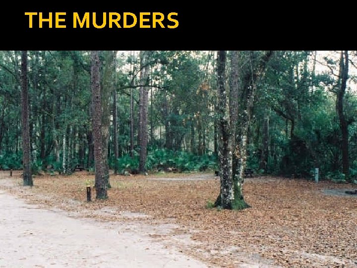 THE MURDERS 