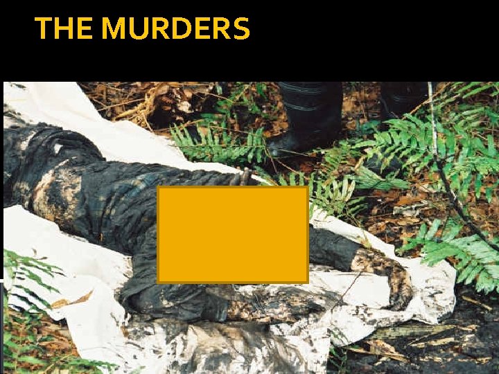 THE MURDERS 