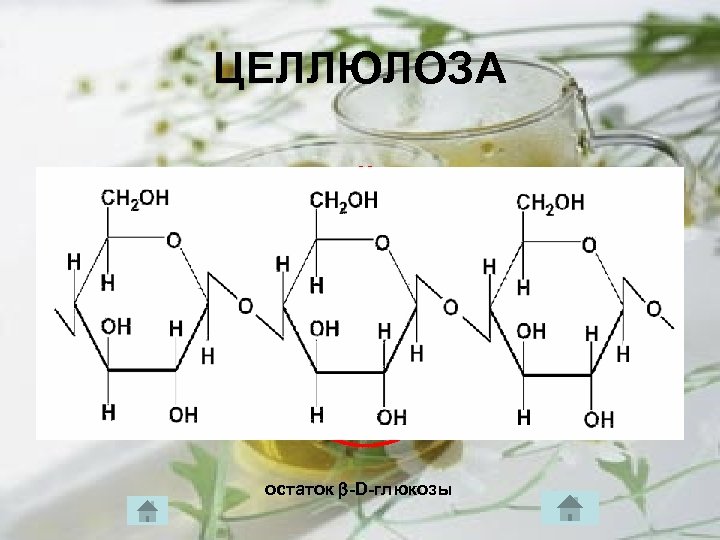 ЦЕЛЛЮЛОЗА остаток -D-глюкозы 
