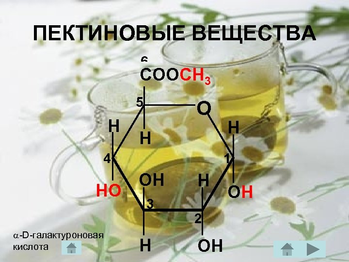 ПЕКТИНОВЫЕ ВЕЩЕСТВА 6 CОOH 3 СООСН 5 H O H 4 HO D галактуроновая