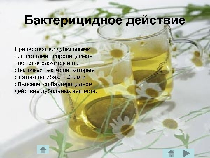 Бактерицидное действие При обработке дубильными веществами непроницаемая пленка образуется и на оболочках бактерий, которые