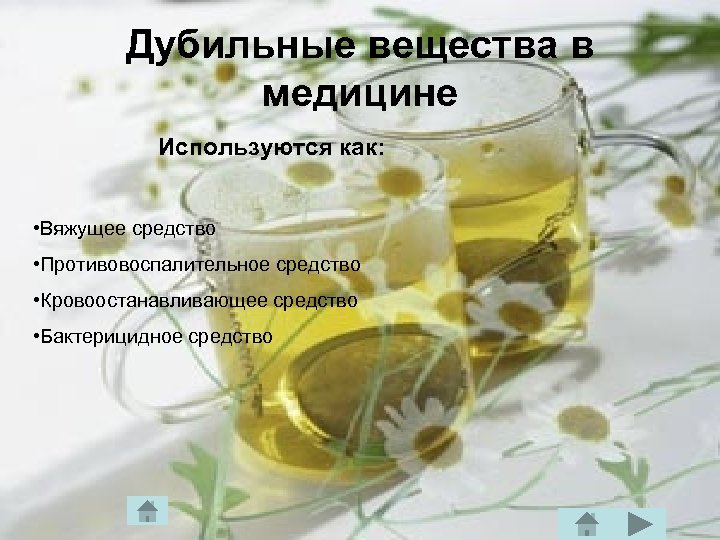 Дубильные вещества в медицине Используются как: • Вяжущее средство • Противовоспалительное средство • Кровоостанавливающее