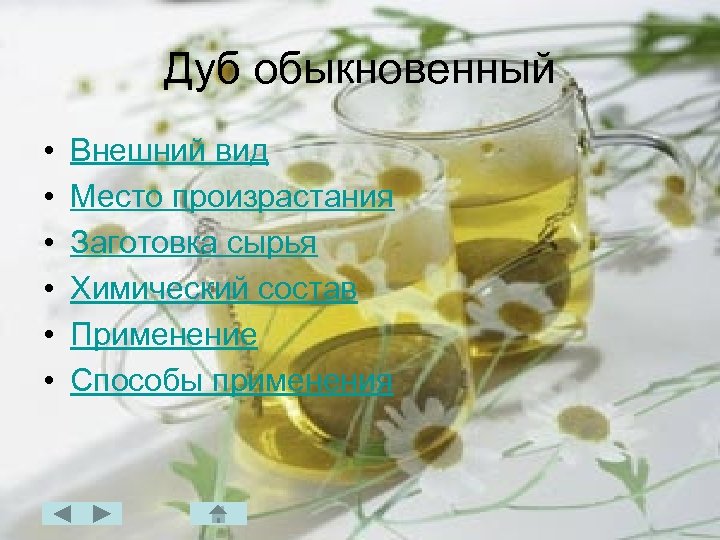 Дуб обыкновенный • • • Внешний вид Место произрастания Заготовка сырья Химический состав Применение