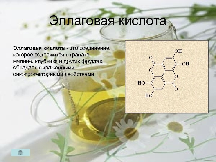 Эллаговая кислота это соединение, которое содержится в гранате, малине, клубнике и других фруктах, обладает