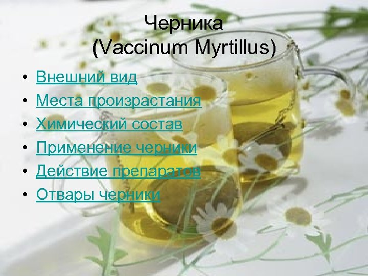 Черника (Vaccinum Myrtillus) • • • Внешний вид Места произрастания Химический состав Применение черники