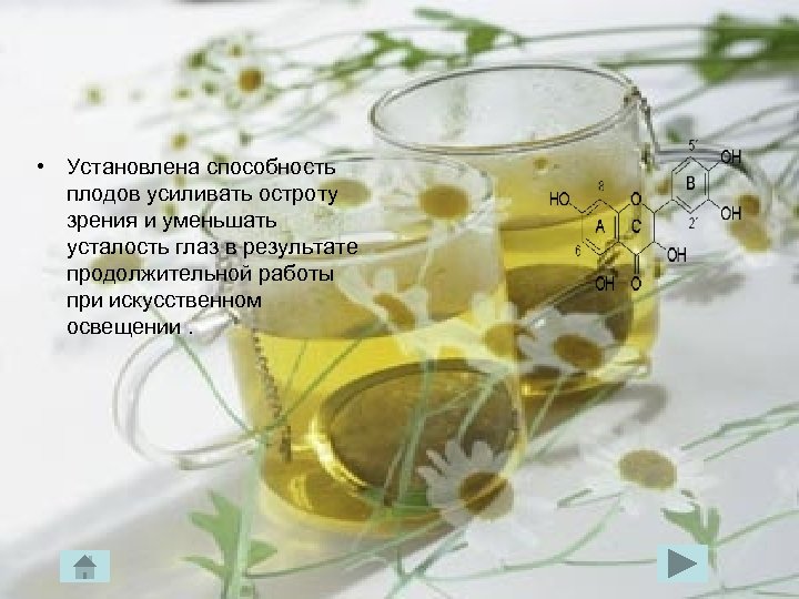  • Установлена способность плодов усиливать остроту зрения и уменьшать усталость глаз в результате