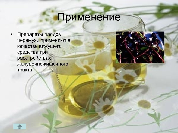 Применение • Препараты плодов черемухи применяют в качестве вяжущего средства при расстройствах желудочно кишечного