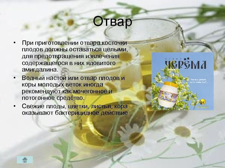 Отвар • При приготовлении отвара косточки плодов должны оставаться целыми, для предотвращения извлечения содержащегося