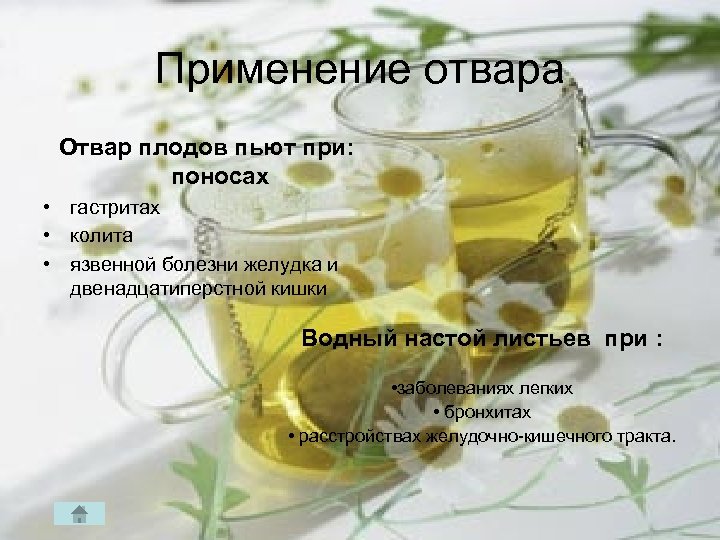 Применение отвара Отвар плодов пьют при: поносах • гастритах • колита • язвенной болезни