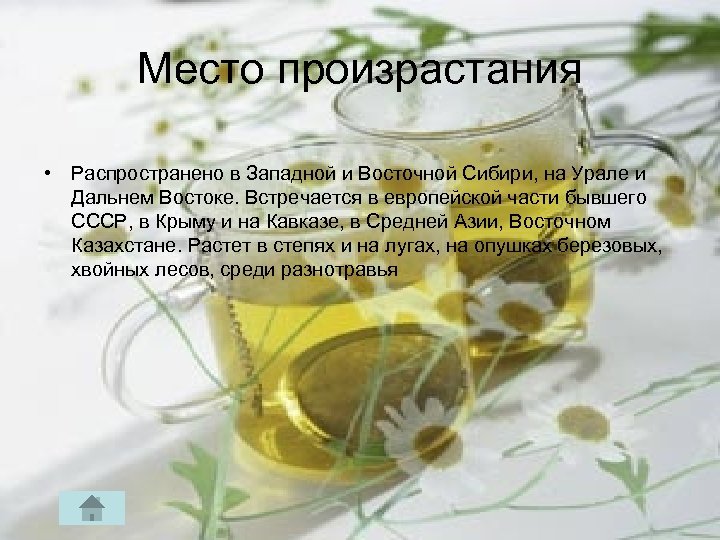 Место произрастания • Распространено в Западной и Восточной Сибири, на Урале и Дальнем Востоке.