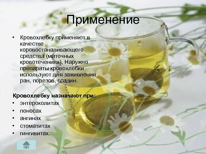 Применение • Кровохлебку применяют в качестве коровостаналивающего средства (маточных кровотечениях). Наружно препараты кровохлебки используют