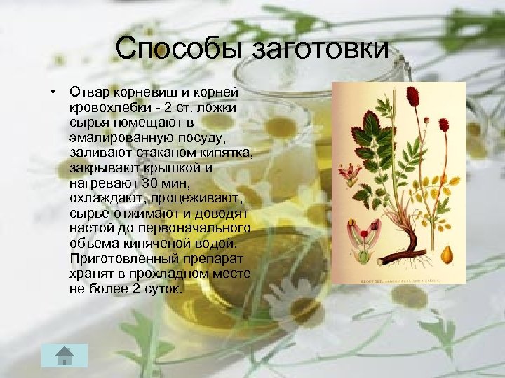 Способы заготовки • Отвар корневищ и корней кровохлебки 2 ст. ложки сырья помещают в