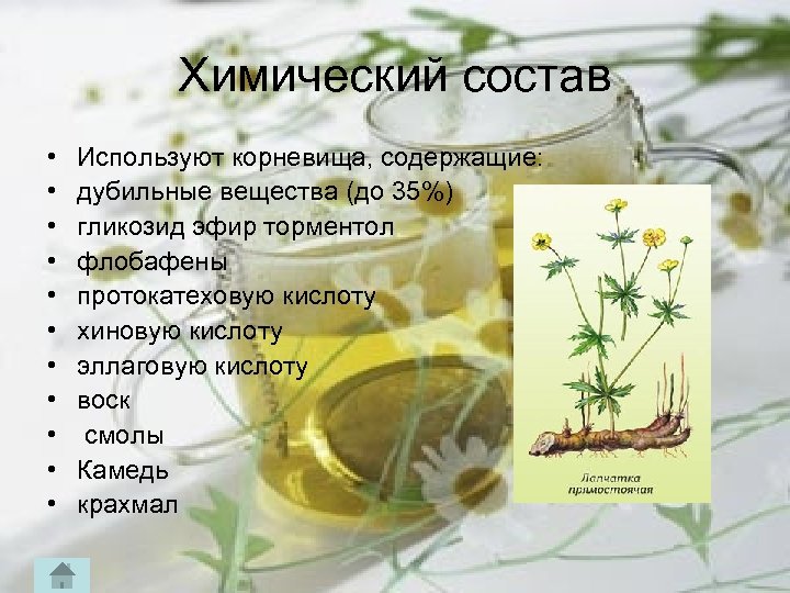 Химический состав • • • Используют корневища, содержащие: дубильные вещества (до 35%) гликозид эфир
