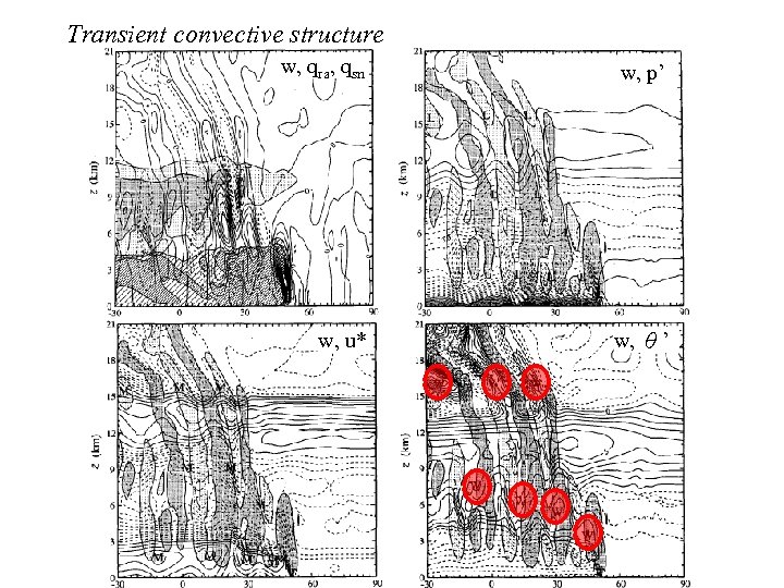 Transient convective structure w, qra, qsn w, p’ w, u* w, θ’ 