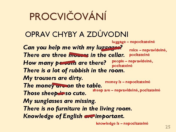 PROCVIČOVÁNÍ OPRAV CHYBY A ZDŮVODNI luggage – nepočitatelné Can you help me with my