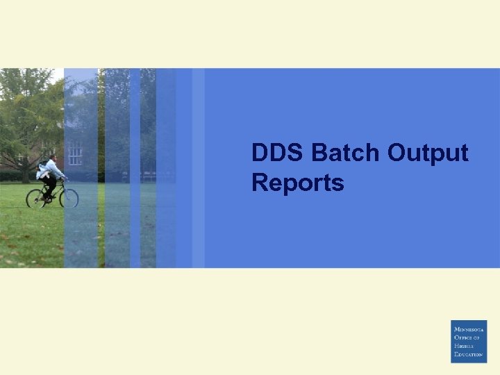 DDS Batch Output Reports 