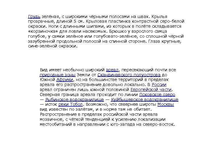 Грудь зелёная, с широкими чёрными полосами на швах. Крылья прозрачные, длиной 5 см. Крыловая