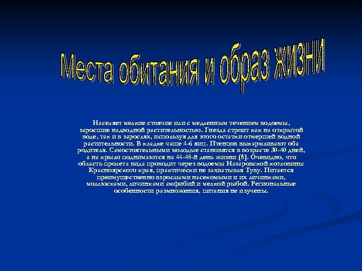 Населяет мелкие стоячие или с медленным течением водоемы, заросшие надводной растительностью. Гнезда строит как