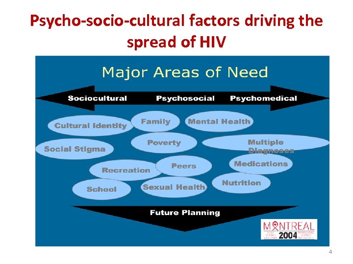 Psycho-socio-cultural factors driving the spread of HIV 4 