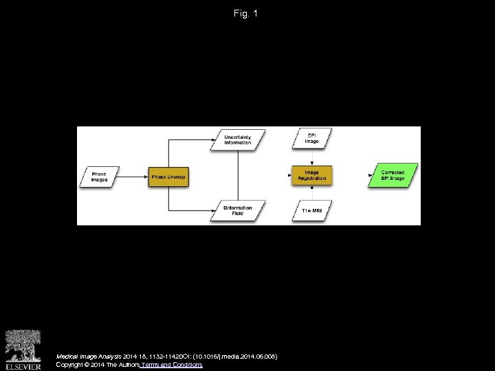 Fig. 1 Medical Image Analysis 2014 18, 1132 -1142 DOI: (10. 1016/j. media. 2014.