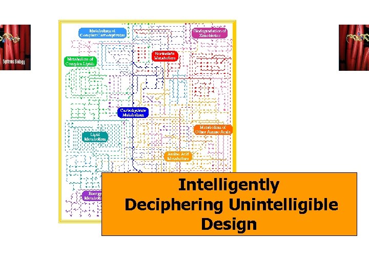 Intelligently Principia Deciphering Unintelligible Biologica Design 