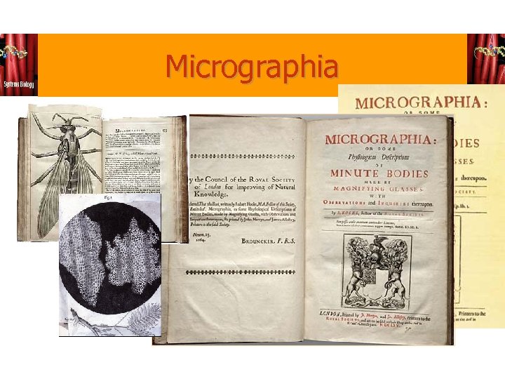 Micrographia 