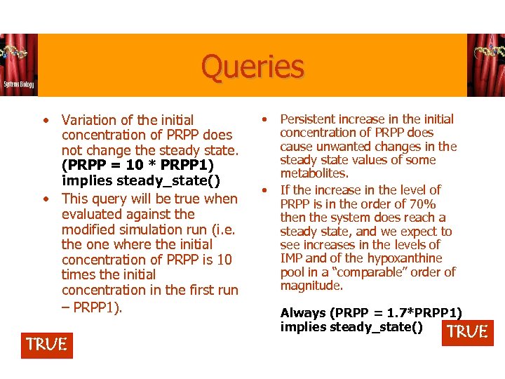 Queries • Variation of the initial concentration of PRPP does not change the steady