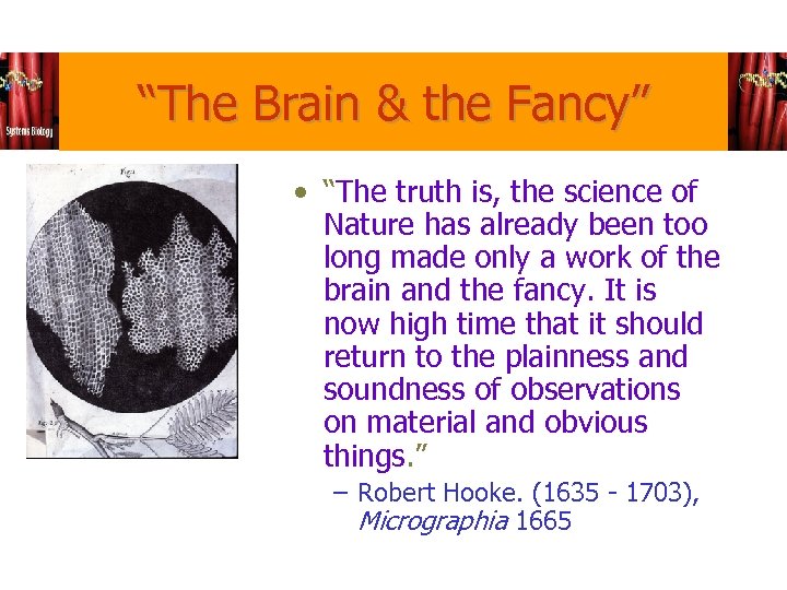 “The Brain & the Fancy” • “The truth is, the science of Nature has