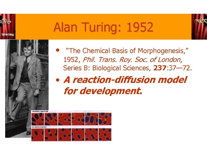 Alan Turing: 1952 • “The Chemical Basis of Morphogenesis, ” 1952, Phil. Trans. Roy.
