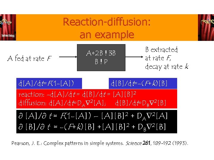 Reaction-diffusion: an example A fed at rate F d[A]/dt=F(1 -[A]) A+2 B ! 3